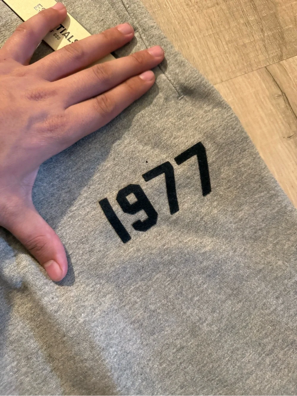 Gray Sweatpants with '1977' Graphic